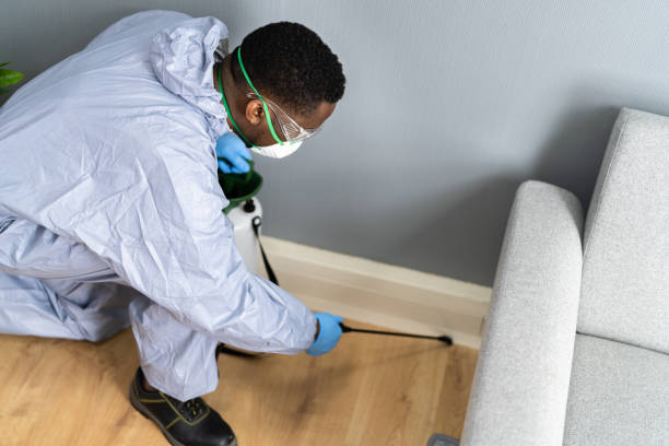 Professional Pest control in West Simsbury, CT